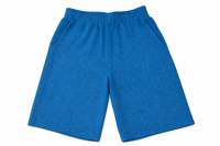 Chaser Bliss Shorts Blue