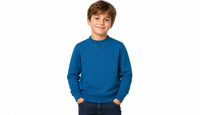 Chaser Bliss Pullover Blue