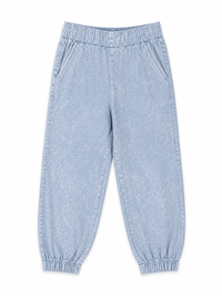 Chaser Jogger Mineral Wash