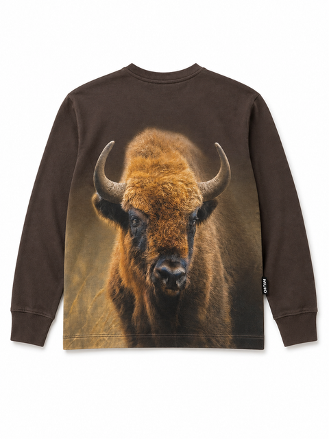 Molo Rube Bison Encounter