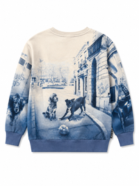 Molo Mattis Sweatshirt Curiosity