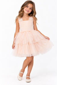 Ooh la la Tutu Dress Amiee Blush