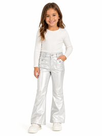 FBZ Pant Pleather Silver
