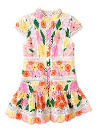 Marlo Anais Embroidered Dress Floral