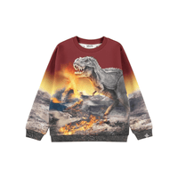 Molo Miksi Sweatshirt Dino