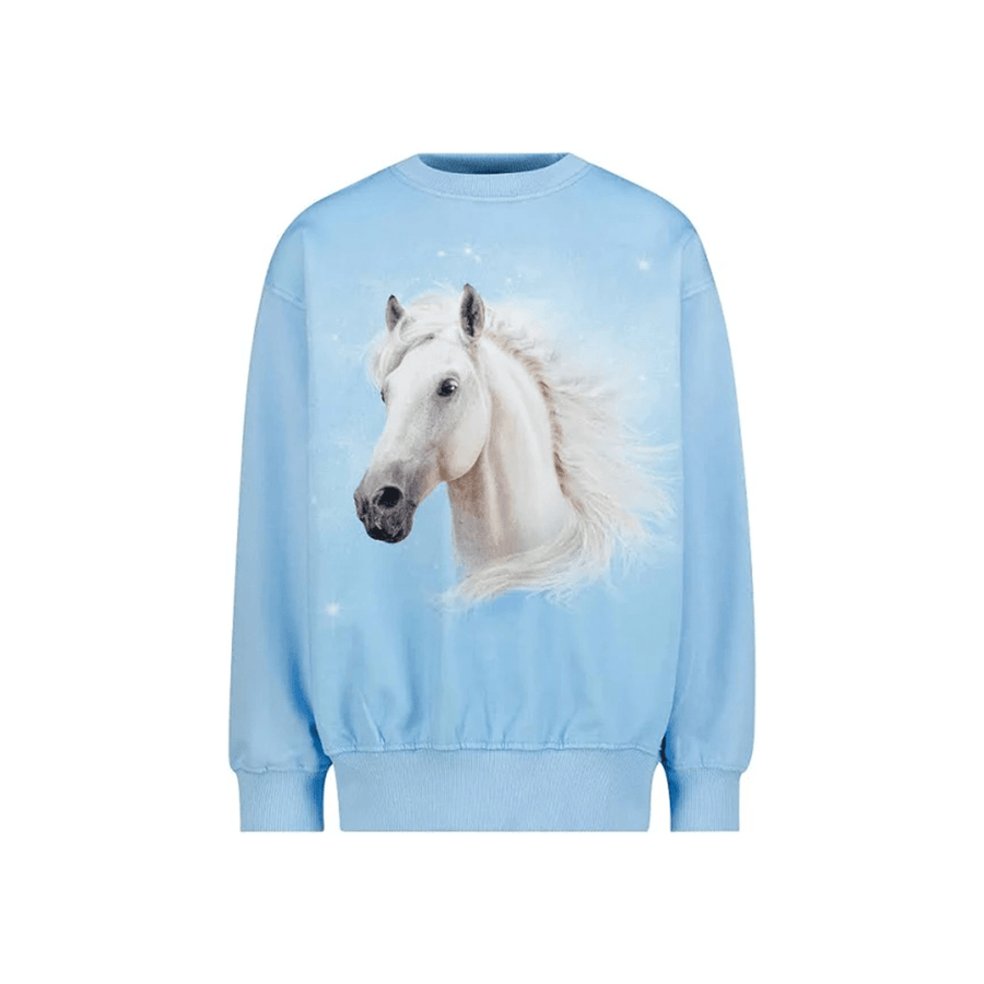 Molo Monti Sweatshirt - Horse Blue