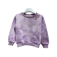Aspen's Sweat Shirt - Purple