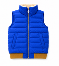 Monkey Puffy Vest Blue