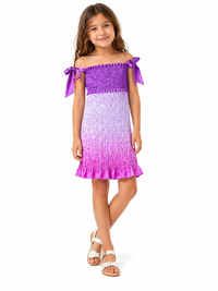 Theme Waverly Dress Ombre Bright