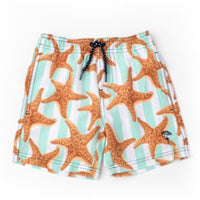 boys trunks - starfish stripe multi